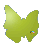 Hochwertige zertifizierte Fu�bodenaufkleber in Schmetterling-Form