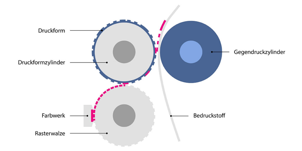 Vereinfachte Darstellung der Funktionsweise des Druckverfahrens Flexodruck