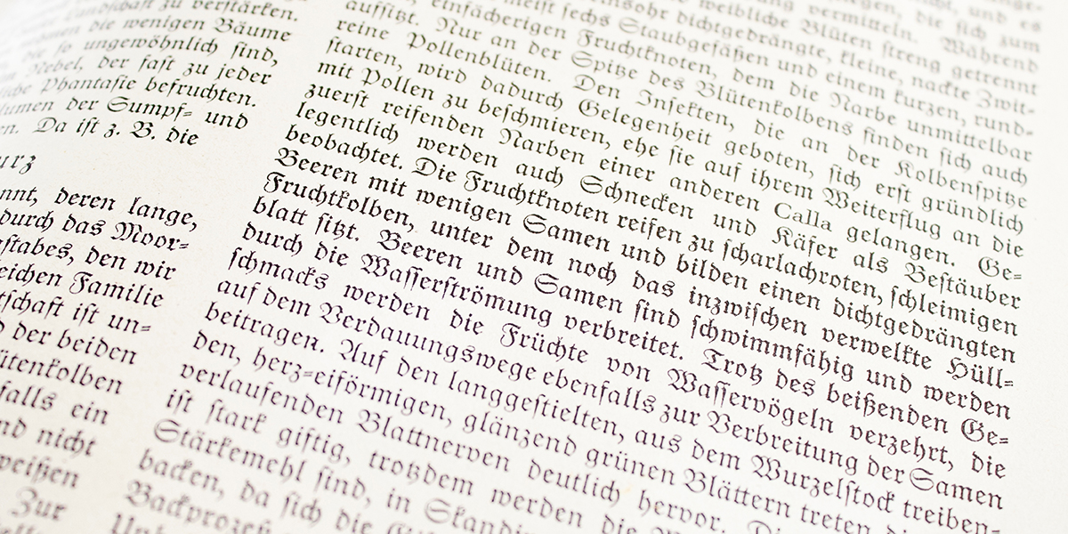 Beispiel für altdeutsche Schrift: ein deutscher Text in Nahaufnahme