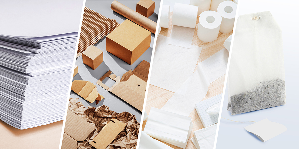 Papiersorten im Vergleich: Druckerpapier, Karton, Klopapier und Teebeutel