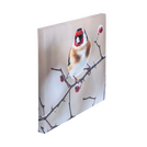 keilrahmen-4cm-quadratisch-guenstig-drucken - Warengruppen Icon