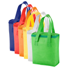 lunch-kuehltaschen-non-woven-guenstig-kaufen - Warengruppen Icon