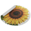 fototeppich-premium-standard-rund-guenstig-drucken fototeppich-premium-standard-rund-guenstig-drucken - Icon Warengruppe