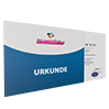 urkunden-din-a3-quer-guenstig-drucken - Warengruppen Icon
