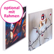 keilrahmen-2cm-quadratisch-guenstig-drucken - Warengruppen Icon