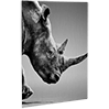 fineartprint-foto-direktdruck-alu-dibond-silber-freie-formate-guenstig-drucken - Warengruppen Icon