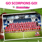 Sponsoring Stuttgart Scorpions