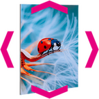 fine-art-print-in-fotoqualitaet-hinter-acrylglas-transparent-glaenzend-mit-freier-groesse-rechteckig-40farbig-bedruckt
