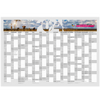 kalendermuster-jahresplaner-1000-x-700-mm-40-einseitig-farbig