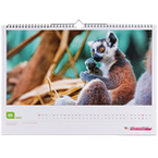Kalendermuster Monatswandkalender 15 Blatt einseitig bedruckt 4/0 farbig, DIN A3 quer (420 x 297 mm)