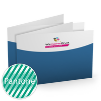 klappvisitenkarten-quer-55-farbig-beidseitig-bedruckt-cmyk-4farbig-1-pantonesonderfarbe