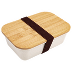 Kunststoff-Lunchbox unbedruckt