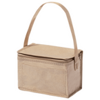 Lunch-Kühltasche aus laminiertem Papier mit Tragegriff, ohne Werbeanbringung