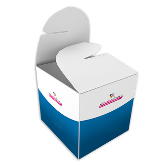Schleifenverpackung (12 cm x 9 cm x 6 cm) einseitig bedruckt 4/0-farbig
