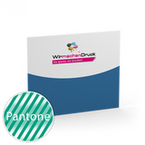 visitenkarten-quadratisch-50-farbig-55-x-55-mm-mit-einseitigem-partiellem-uvlack-einseitig-bedruckt-cmyk-4farbig-1-pantonesonderfarbe
