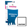 weihnachtskarte-din-lang-6seiter-zickzackfalz-44-farbig-1-pantonesonderfarbe