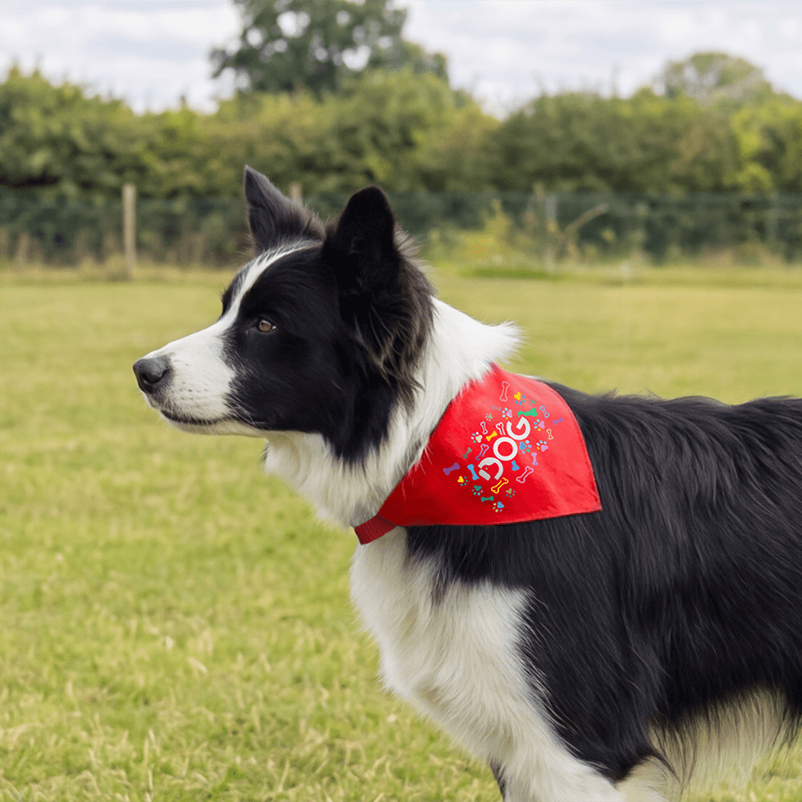 Ein Hund trägt ein individuell bedrucktes Hundehalstuch in Rot