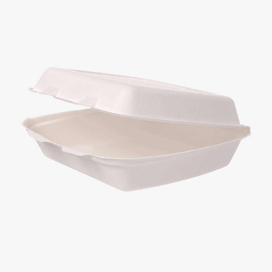 Unbedruckte Menübox aus Bagasse (24,4 x 20,8 x 7 cm), ungeteilt