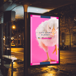 City-Light-Poster individuell bedruck mit UV-beständiger Backlightfolie für LED-Beleuchtung an Bushaltestelle