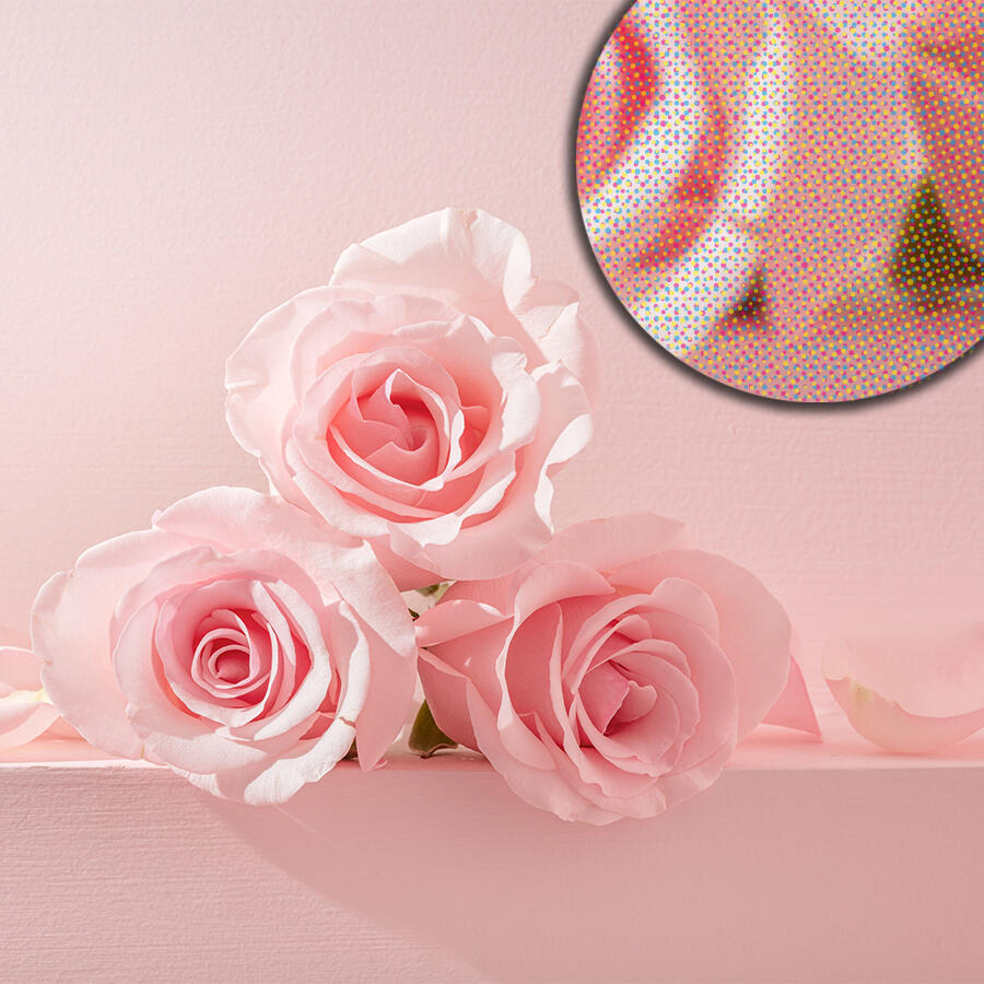 Rosen abgebildet mit Zoom-Effekt, verschiedene Druckpunkte in einem Druckraster erkennbar