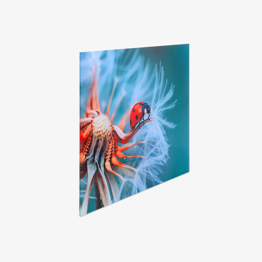 Fine Art Print Foto-Abzug hinter Acrylglas in brillanter Druckqualität