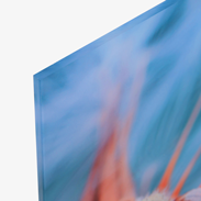 Detailansicht Foto-Abzug hinter Acrylglas in brillanter Druckqualität