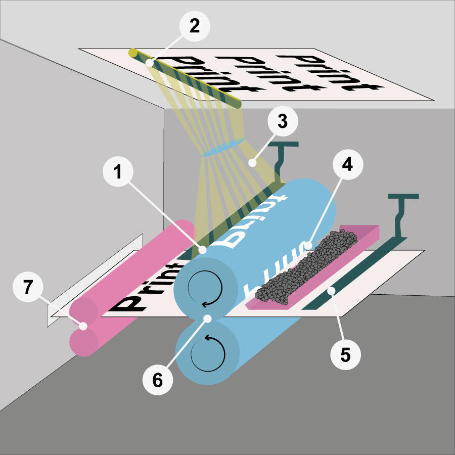 Bild, das die Funktionsweise der Xerografie in sieben Schritten erklärt – basierend auf dem Prinzip der Elektrofotgrafie