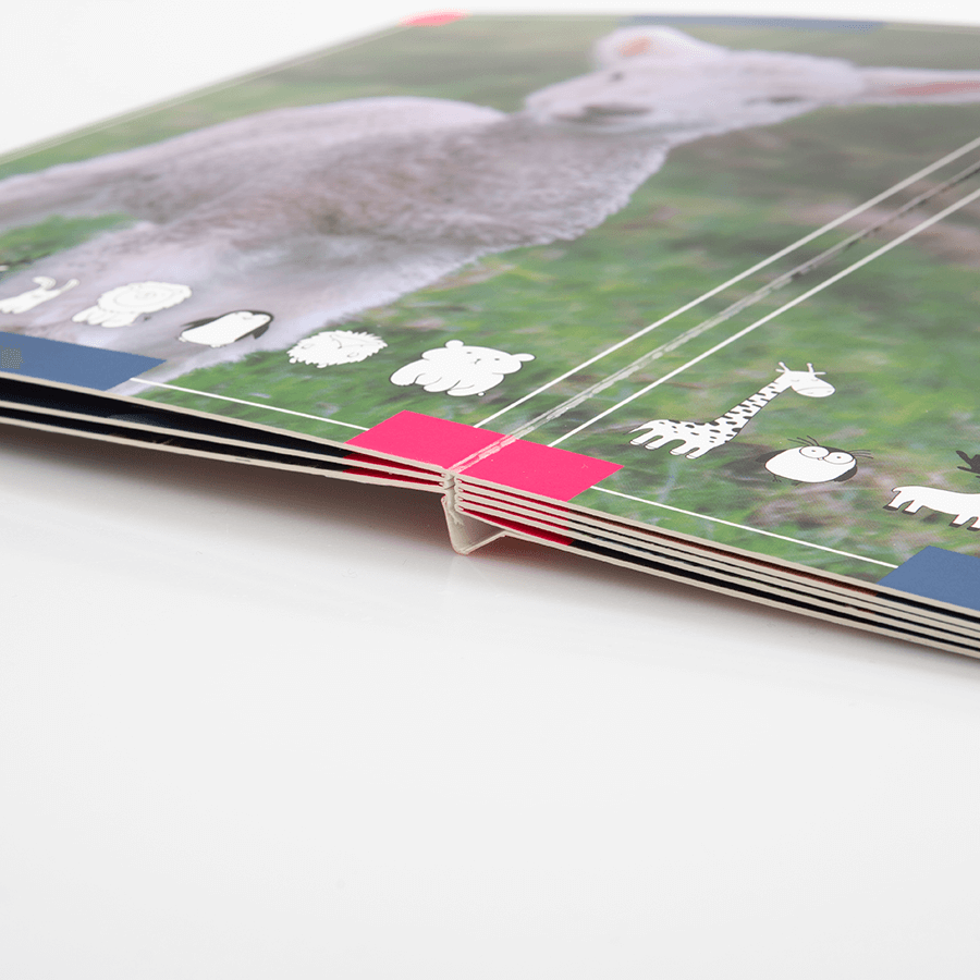 Detailansicht aufgeschlagenes Pappbilderbuch im Hochformat, vollfarbiger Druck und Layflat-Bindung
