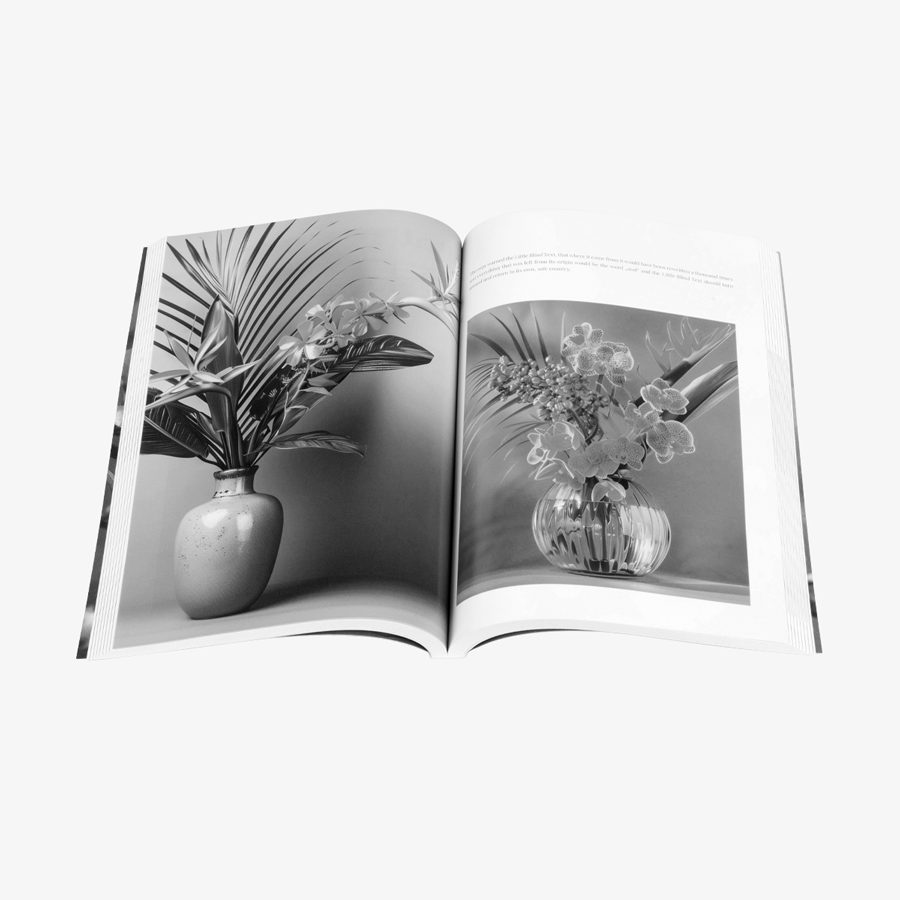 Aufgeschlagenes Softcover-Buch (17 x 24 cm) mit Inhalt in Schwarz-Weiß