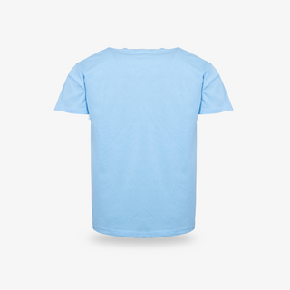 Blaues Budget-Herren-T-Shirt von hinten unbedruckt