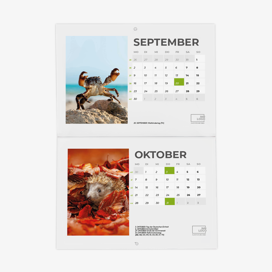 Monatswandkalender im Querformat mit Tiermotiven, beidseitig bedruckt 
