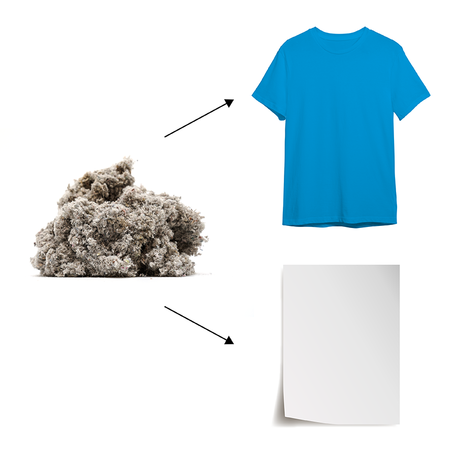 T-Shirt und Papier als aus Zellulose hergestellte Produktbeispiele