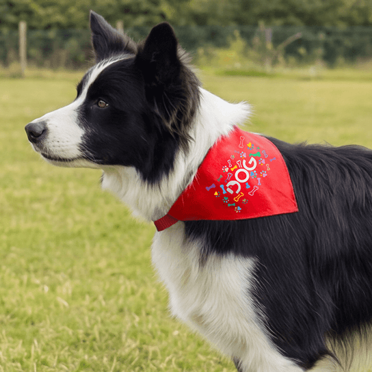 Hundehalstücher 