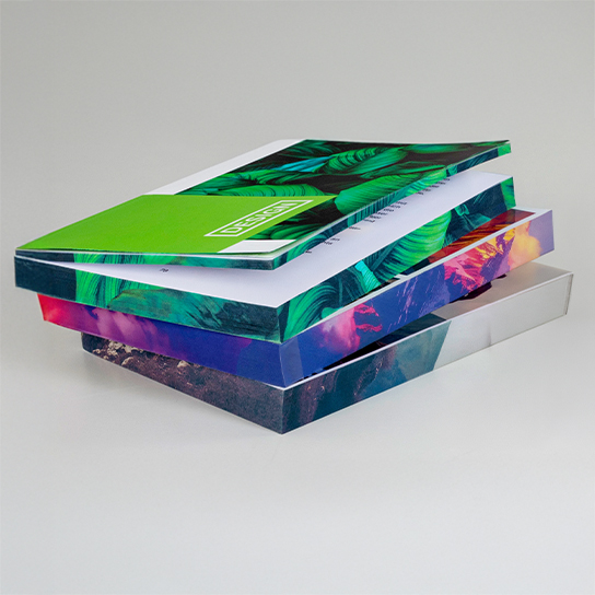 Bücher mit Farbschnitt 