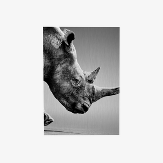 Exklusiver Fine Art Print auf Alu-Dibond-Platte silber gebürstet