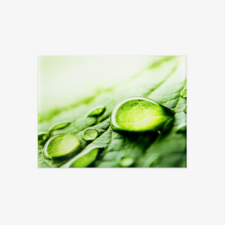 Erstklassiger Foto-Direktdruck hinter Acrylglas in freier Größe