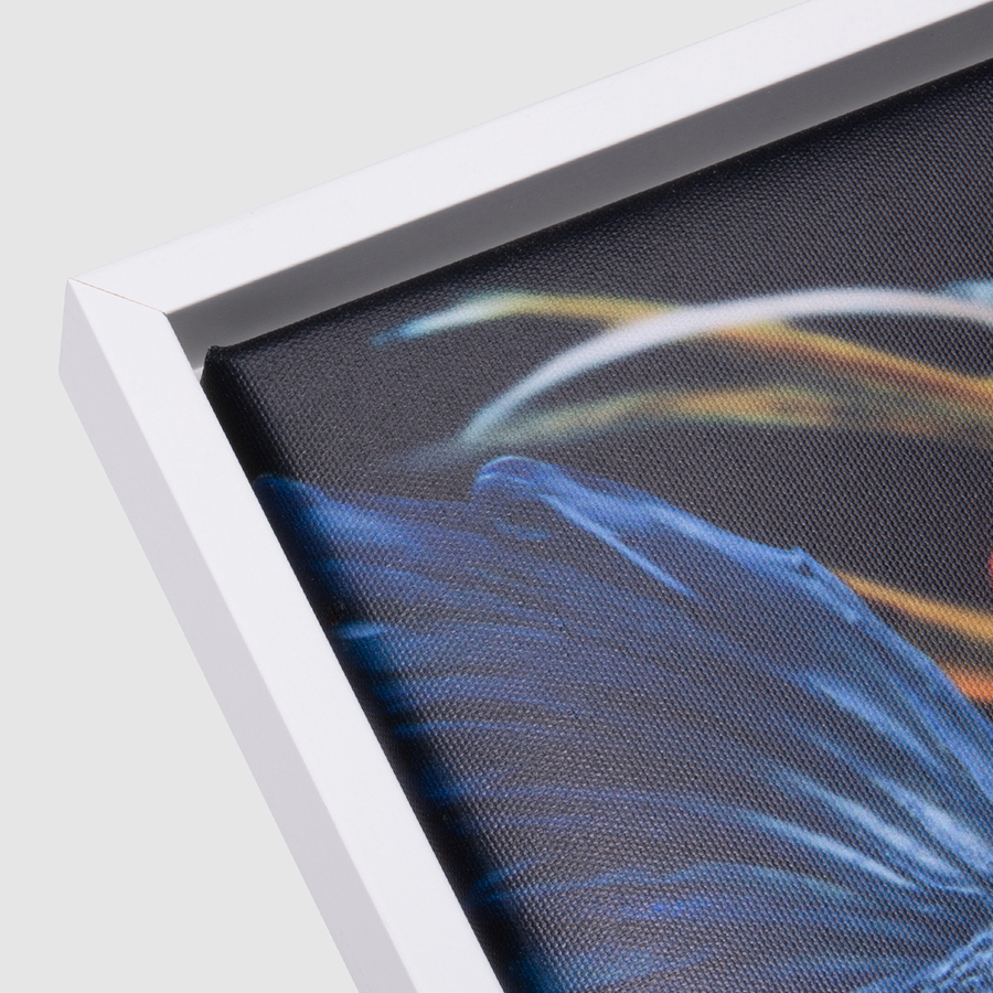 Detail einer quadratischen Leinwand im Standardformat mit weißem Schattenfugenrahmen